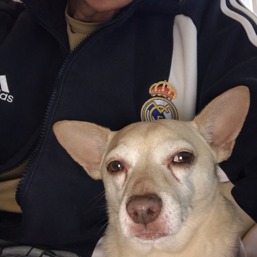 Meet your Posher, Mike